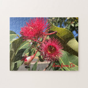 Honey Bee and Eucalyptus Flowers Jigsaw Puzzle