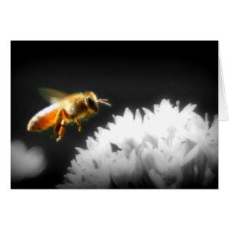 Honey Bee Approach