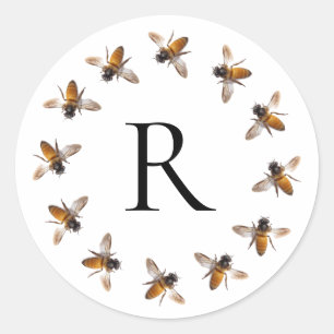 Honey Bee, bee, bumble bee, insect Classic Round Sticker
