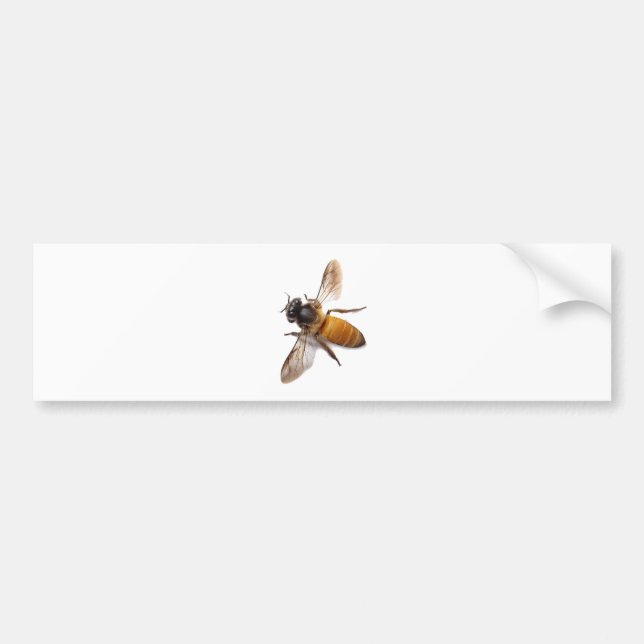Honey Bee Bumper Sticker (Front)