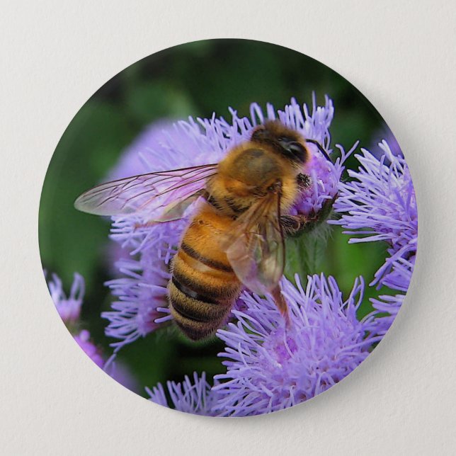 Honey Bee Button (Front)