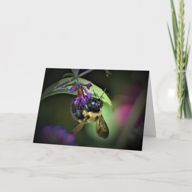 Honey Bee, card (Front)