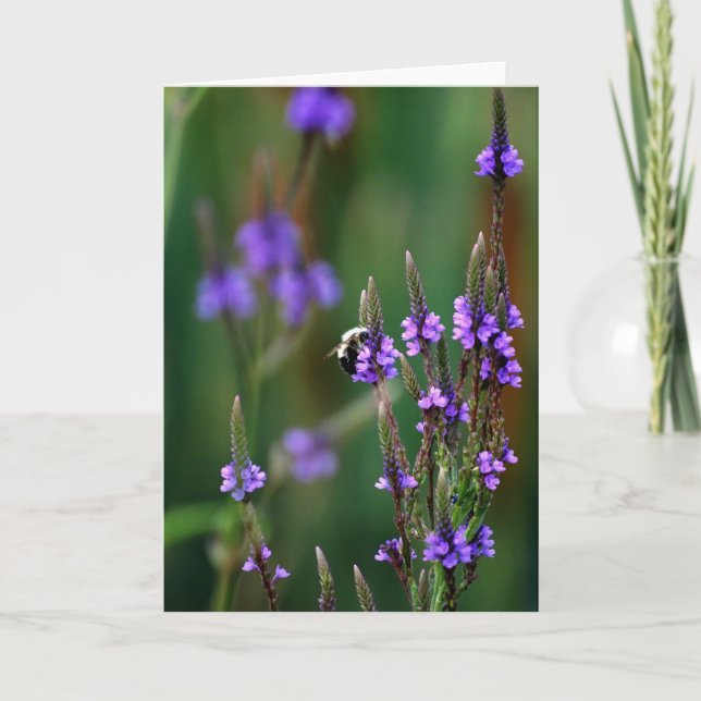 Honey Bee Card (Front)