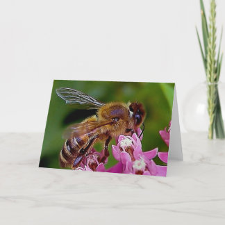 Honey Bee Card