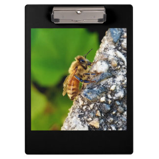 Honey Bee Clipboard