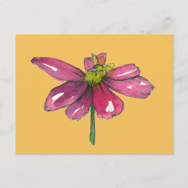 Honey Bee Daisy Flower Burnt Orange Postcard (Front)