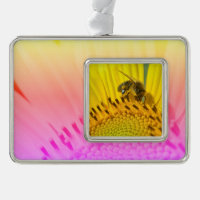 Honey bee feeding on sunflower postcard metal orna