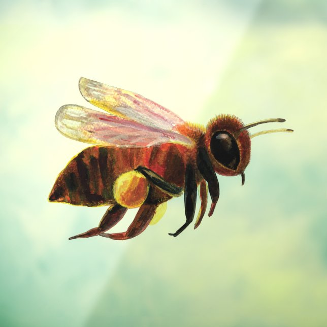 Honey Bee Flying  (Sheet 3)