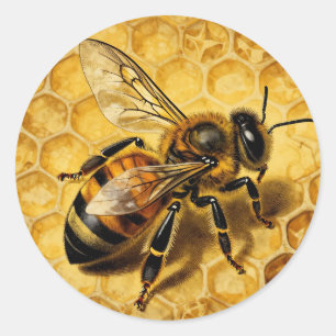 Honey Bee Honeycomb Golden Nature  Classic Round Sticker