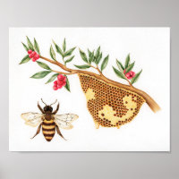 Honey Bee Illustration