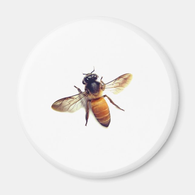 Honey Bee Magnet (Front)