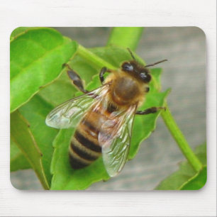 Honey Bee Mouse Pad