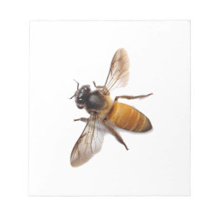 Honey Bee Notepad