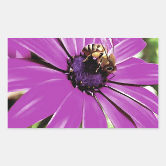 Honey Bee On A Purple African Daisy Art Rectangular Sticker
