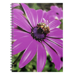 Honey Bee On A Purple African Daisy Art Spiral Notebook