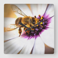 Honey Bee On African Daisy Acrylic Art