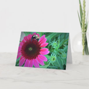 Honey Bee On Coneflower, card