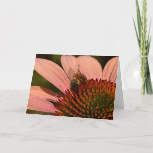 Honey Bee on Coneflower Greeting Card