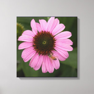 Honey Bee on Garden Flower Canvas Print