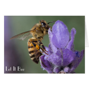 Honey Bee on Lavender Flower Photo Card