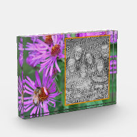 Honey Bee On Pink Aster Flower Add Your Own