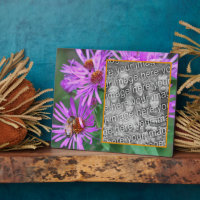 Honey Bee On Pink Aster Flower Add Your Own Photo