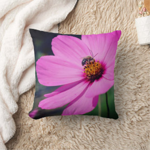 Honey Bee On Pink Cosmos Flower Close Up  Cushion