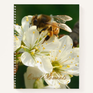 Honey Bee on White Plum Blossom Journal
