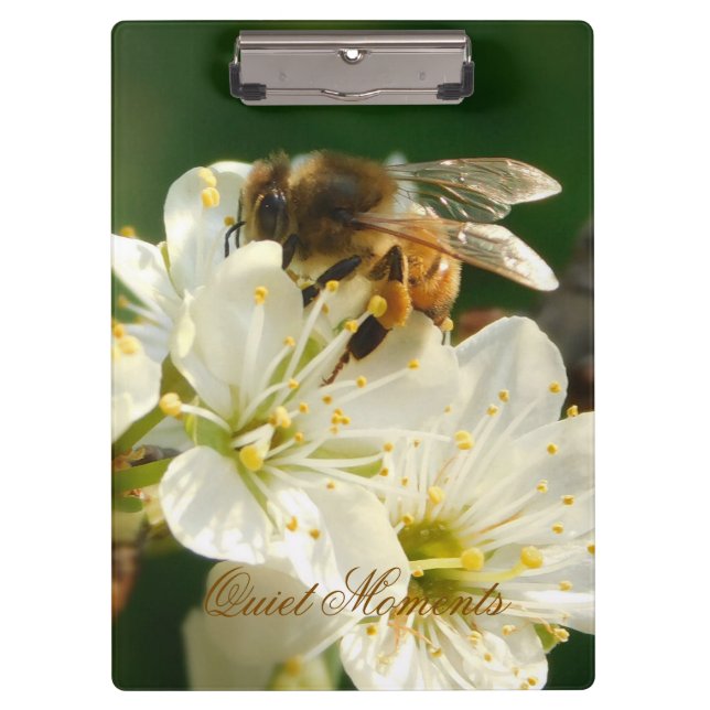 Honey Bee Plum Blossom Nature Study Clipboard (Front)