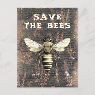 Honey Bee Save the Bees Script Monochrome Postcard