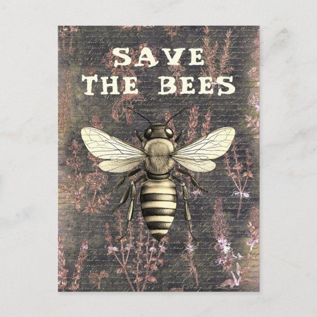 Honey Bee Save the Bees Script Monochrome Postcard (Front)