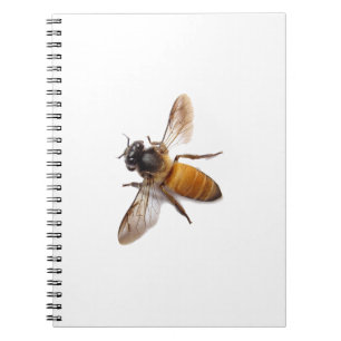 Honey Bee Spiral Notebook