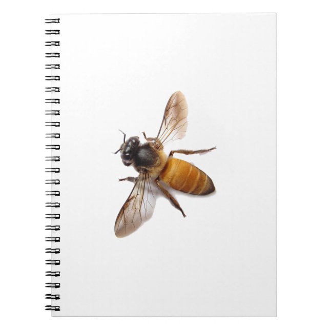 Honey Bee Spiral Notebook (Front)