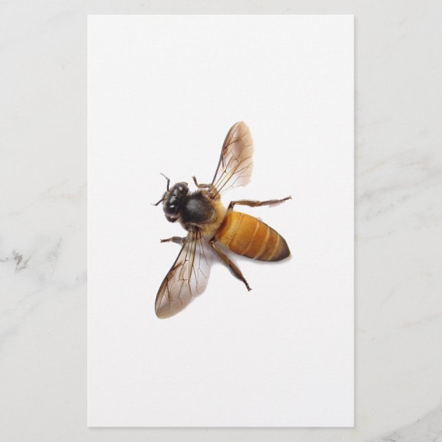Honey Bee Stationery (Front)