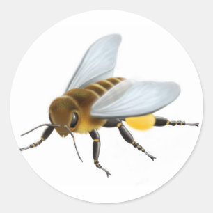 Honey Bee Sticker