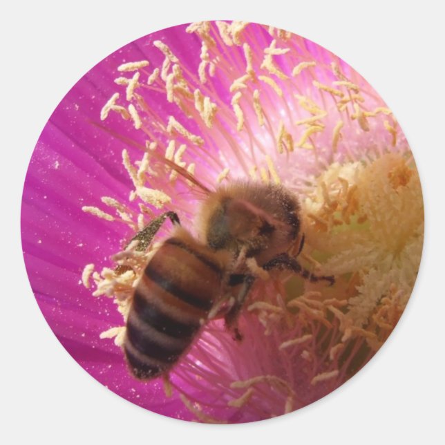 Honey Bee Sticker (Front)