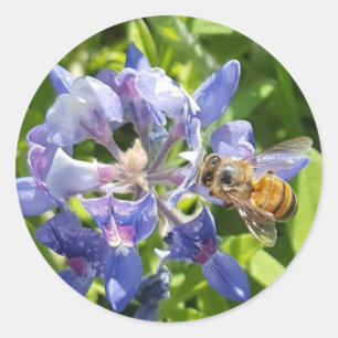 Honey bee sticker