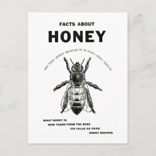 Honey Bee Vintage Advertising Postcard
