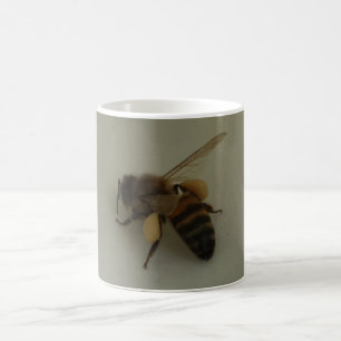 Honey Bee White Coffee Mug