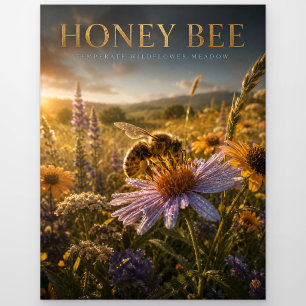 Honey Bee Wildflower Meadow ANIMALS Postcard