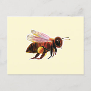 Honey Bee with its Pollen Baskets Illustration Holiday Postcard