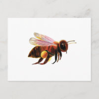 Honey Bee with its Pollen Baskets Illustration
