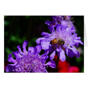 Honey Bee'n Made!