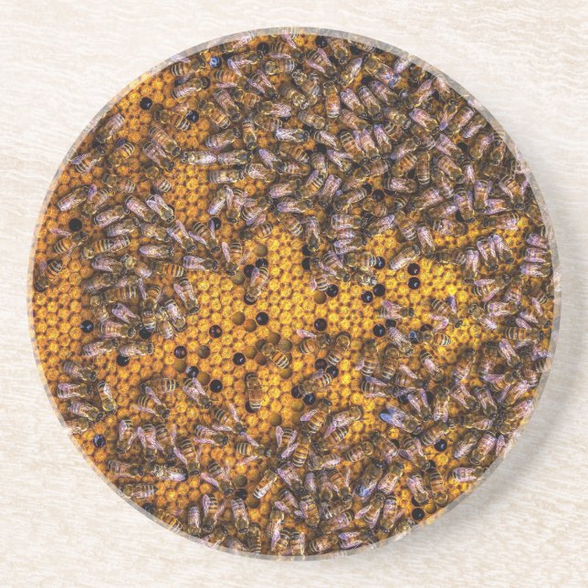 HONEY BEES   COASTER (Front)