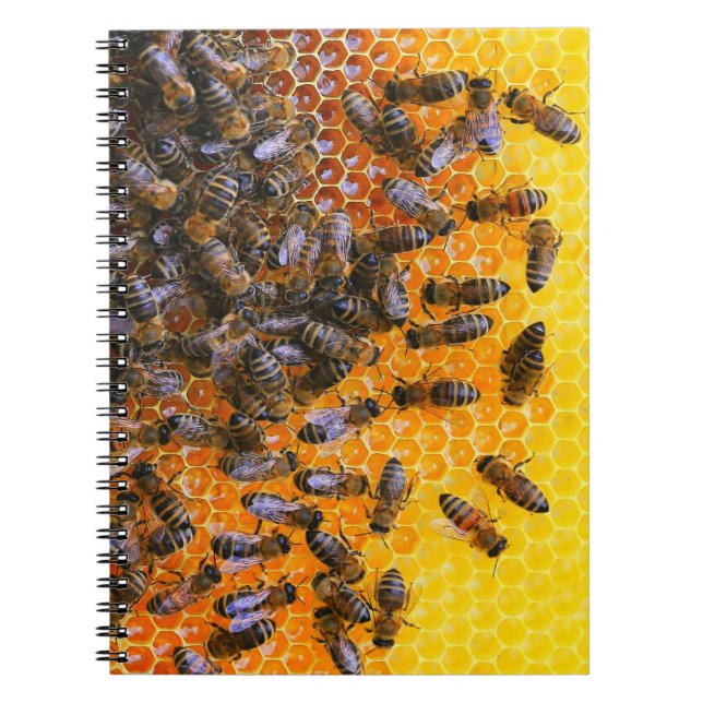 HONEY BEES  NOTEBOOK (Front)