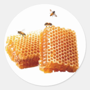 Honey Bees on Honeycomb Envelope Seals