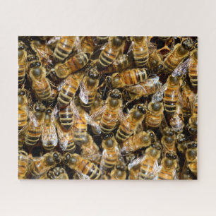 Honey Bees Photo Puzzle