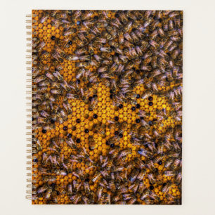 HONEY BEES PLANNER
