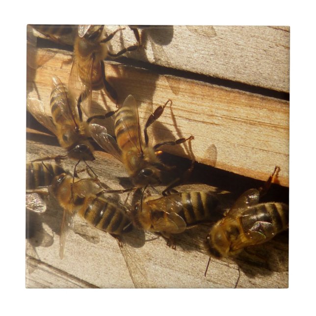 Honey Bees Tile (Front)