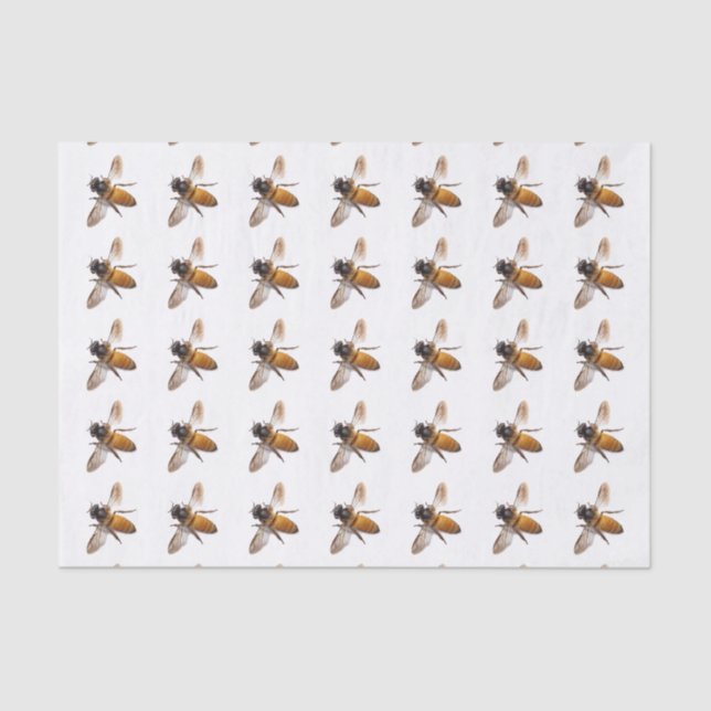 Honey Bee's Tissue Paper (Front)